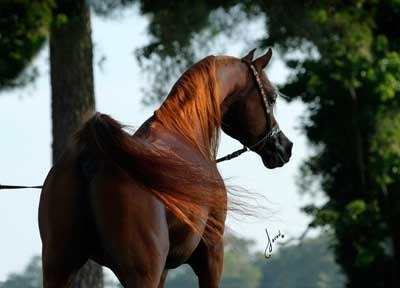 Ted Carson at Butler Farms Training Center