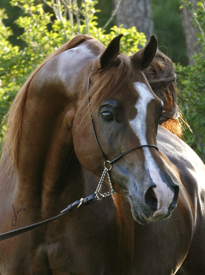 Ted Carson at Butler Farms Training Center