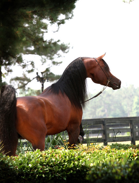 Ted Carson at Butler Farms Training Center