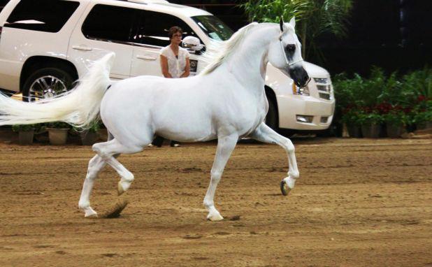 Photo credit: Toni Sullivan