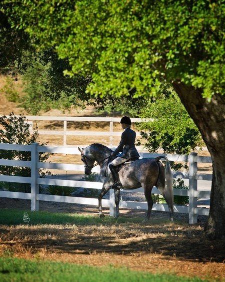 Photo credit: Stuart Vesty