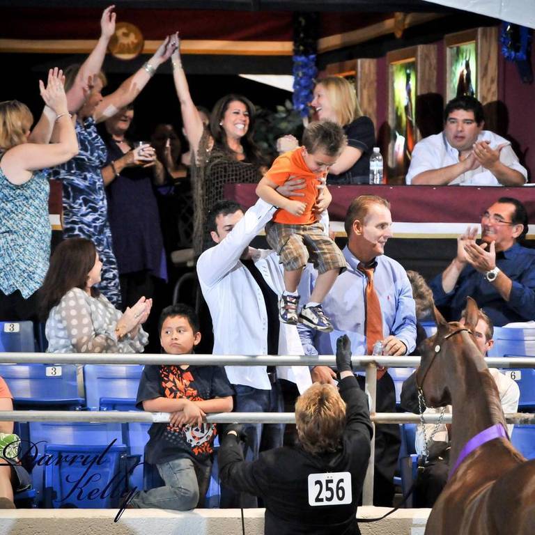 The Arabian Breeder Finals