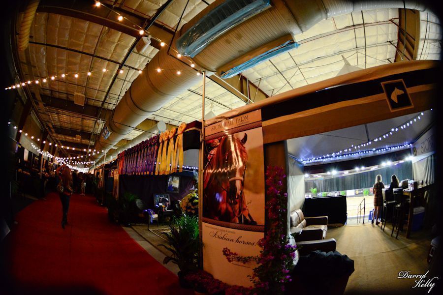 The Arabian Breeder Finals