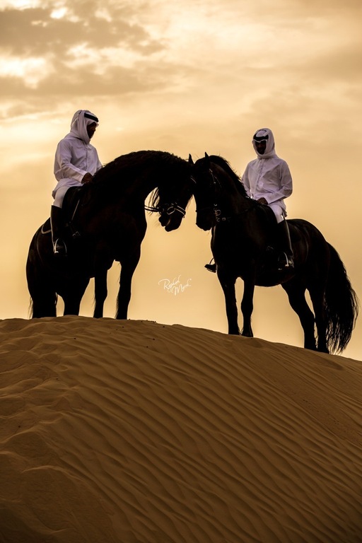 Ajman Stud's Amazing photos... 