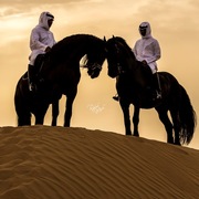 Ajman Stud's Amazing photos... 