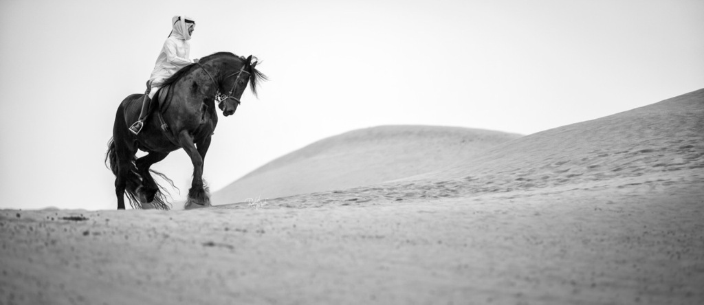 Ajman Stud's Amazing photos... 