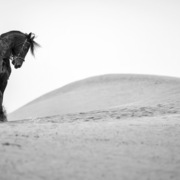 Ajman Stud's Amazing photos... 