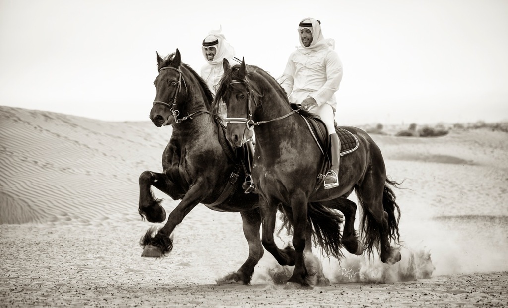 Ajman Stud's Amazing photos... 