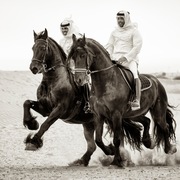 Ajman Stud's Amazing photos... 