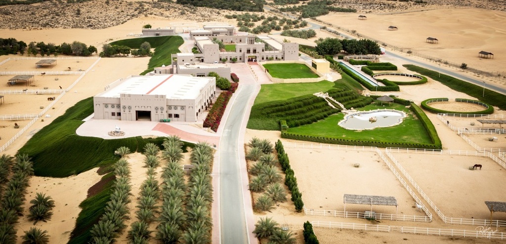 Ajman Stud's Amazing photos... 