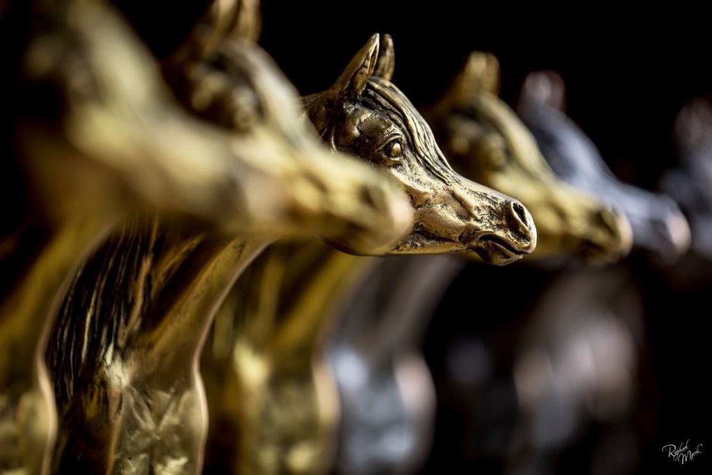 Ajman Stud's Amazing photos... 