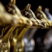 Ajman Stud's Amazing photos... 