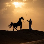 Ajman Stud's Amazing photos... 