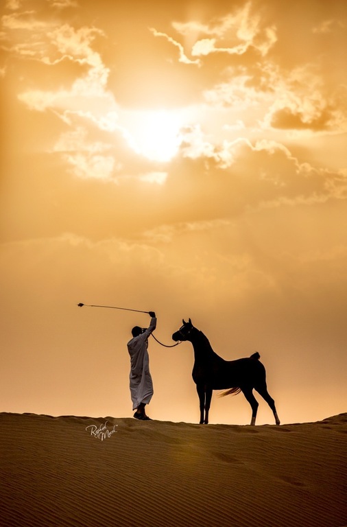 Ajman Stud's Amazing photos... 