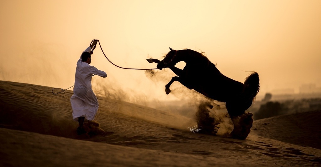 Ajman Stud's Amazing photos... 