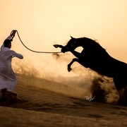 Ajman Stud's Amazing photos... 