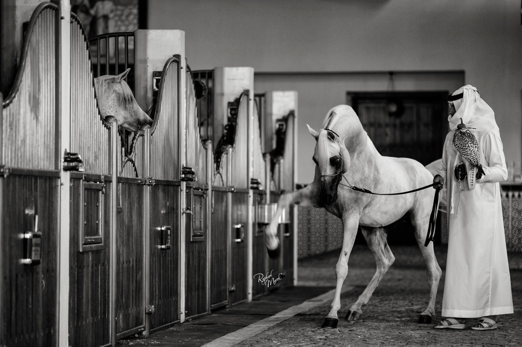 Ajman Stud's Amazing photos... 