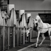 Ajman Stud's Amazing photos... 