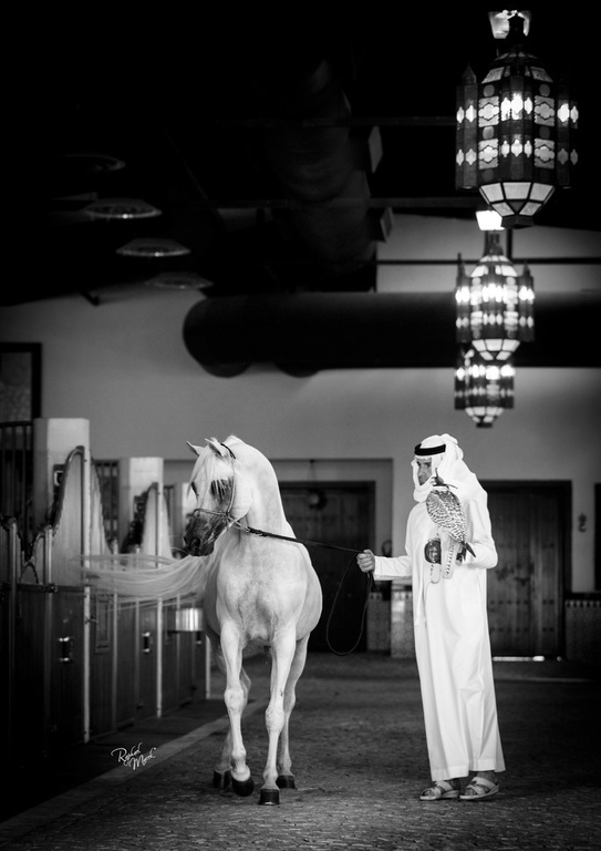 Ajman Stud's Amazing photos... 