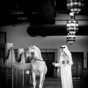 Ajman Stud's Amazing photos... 