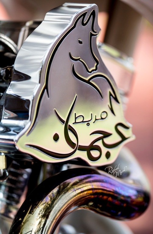 Ajman Stud's Amazing photos... 