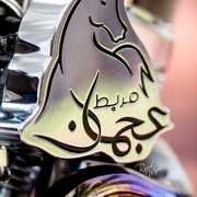 Ajman Stud's Amazing photos... 