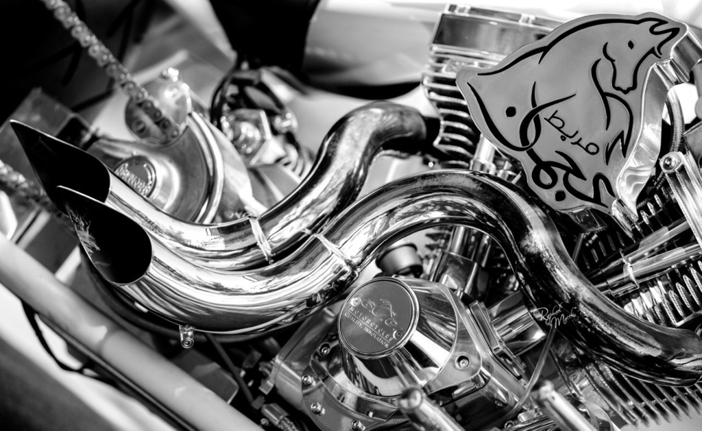 Ajman Stud's Amazing photos... 