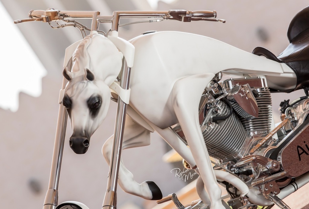 Ajman Stud's Amazing photos... 