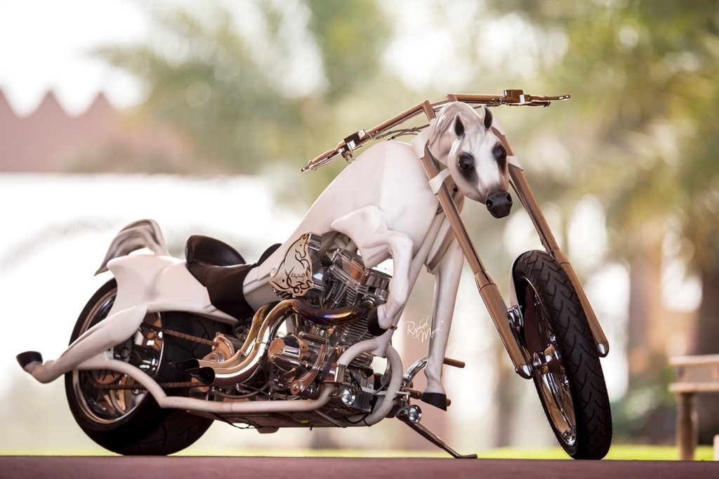 Ajman Stud's Amazing photos... 