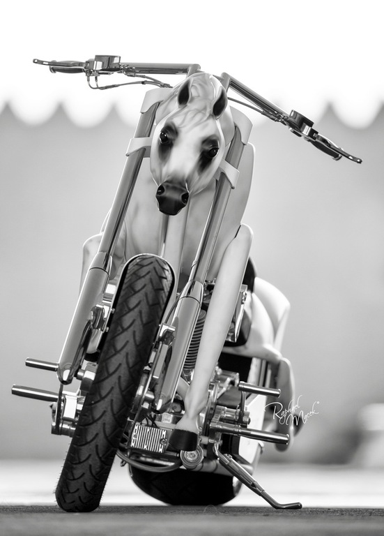 Ajman Stud's Amazing photos... 