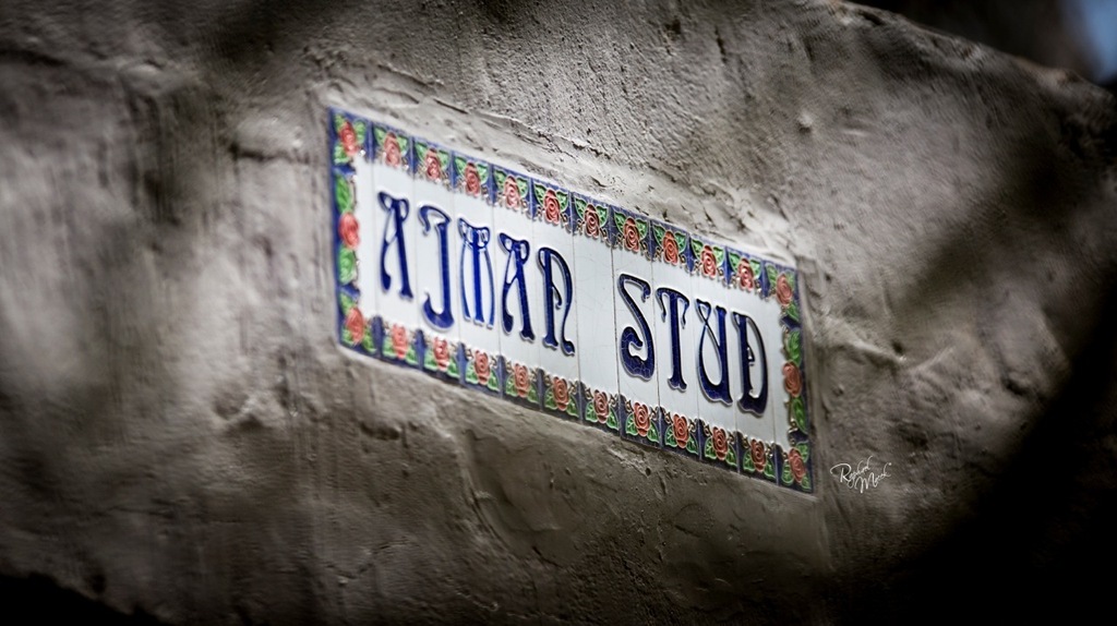 Ajman Stud's Amazing photos... 