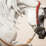 Ajman Stud's Amazing photos... 