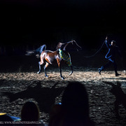 2013 Arabian Breeders World Cup Candid Shots