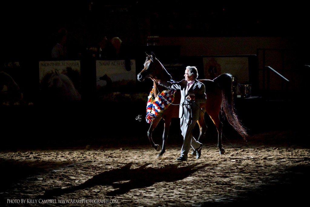 2013 Arabian Breeders World Cup Candid Shots