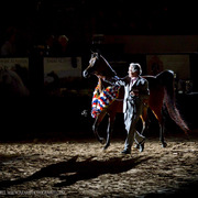 2013 Arabian Breeders World Cup Candid Shots