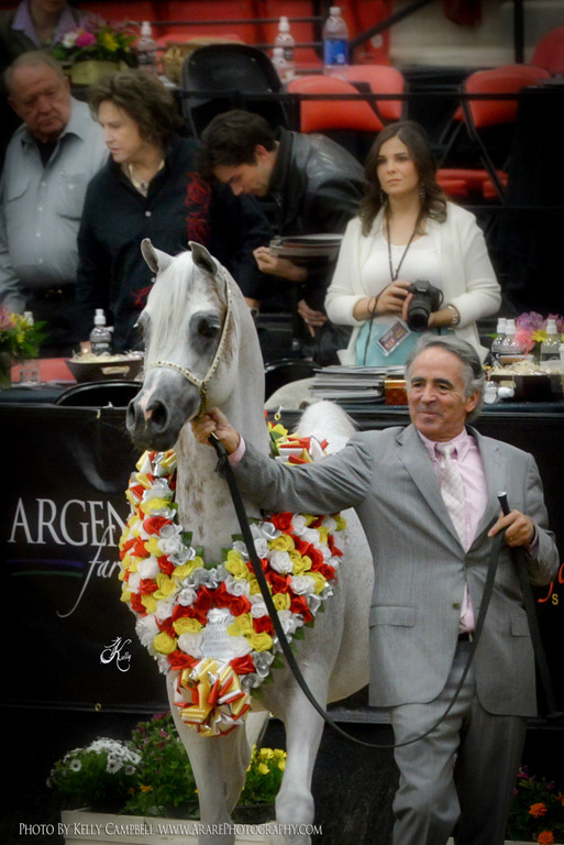 2013 Arabian Breeders World Cup Candid Shots