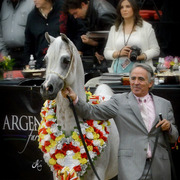 2013 Arabian Breeders World Cup Candid Shots