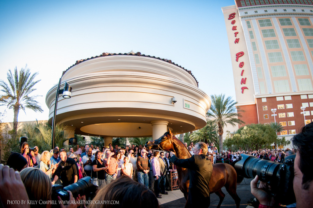 2013 Arabian Breeders World Cup Candid Shots