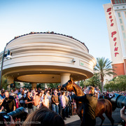 2013 Arabian Breeders World Cup Candid Shots