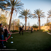 2013 Arabian Breeders World Cup Candid Shots