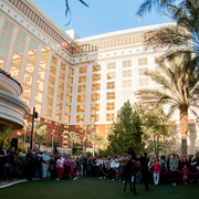 2013 Arabian Breeders World Cup Candid Shots