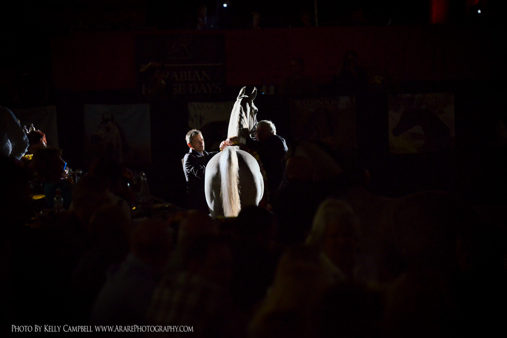 2013 Arabian Breeders World Cup Candid Shots