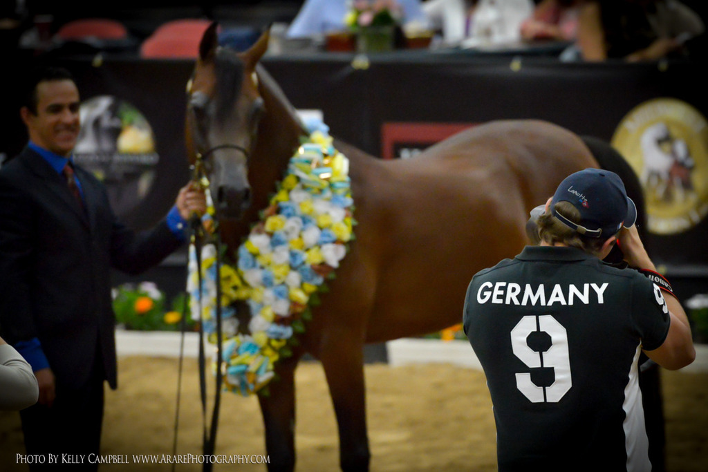 2013 Arabian Breeders World Cup Candid Shots