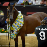 2013 Arabian Breeders World Cup Candid Shots