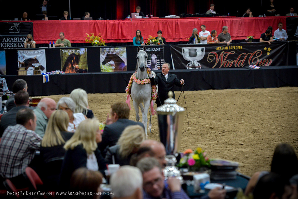2013 Arabian Breeders World Cup Candid Shots