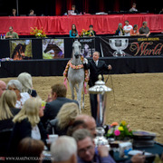 2013 Arabian Breeders World Cup Candid Shots