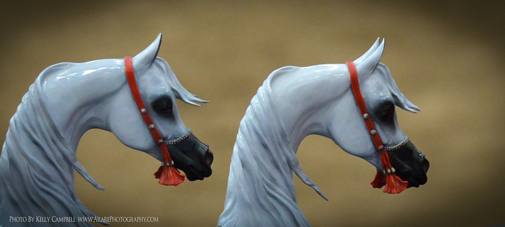 2013 Arabian Breeders World Cup Candid Shots