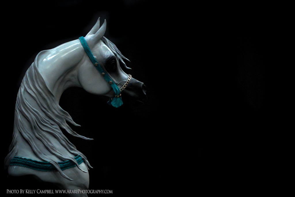 2013 Arabian Breeders World Cup Candid Shots