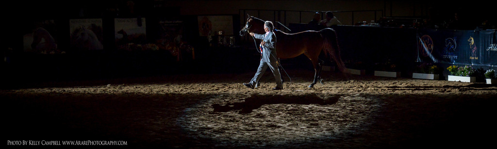 2013 Arabian Breeders World Cup Candid Shots