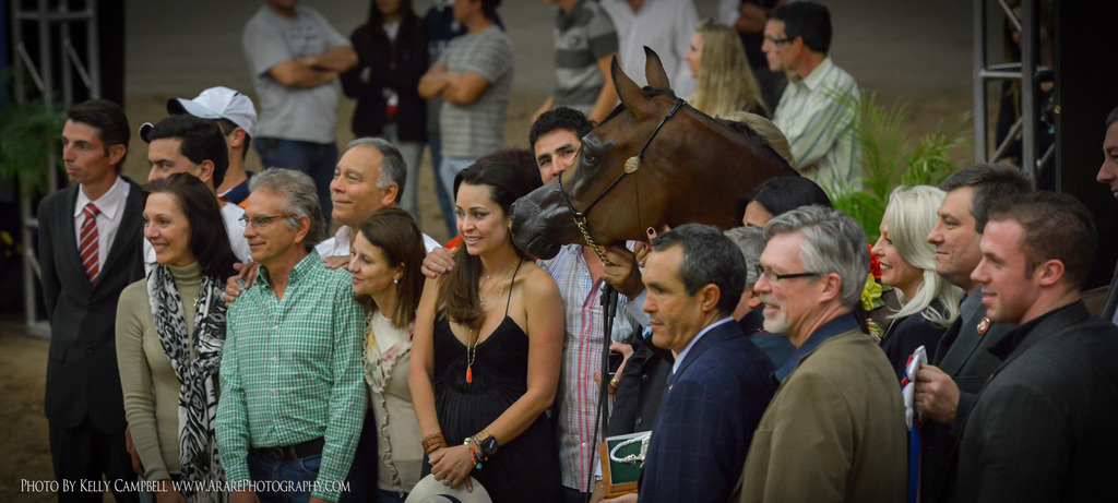 2013 Arabian Breeders World Cup Candid Shots